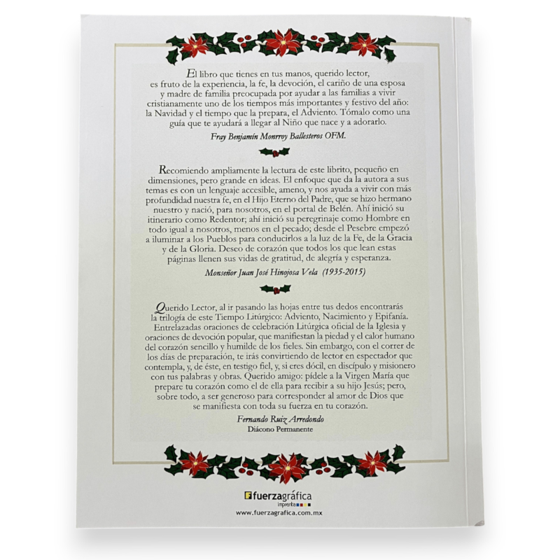 Libro: TIEMPO DE NAVIDAD EN FAMILIA - Image 3